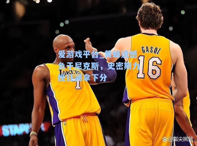 黄蜂遗憾负于尼克斯，史密斯力挽狂澜拿下分