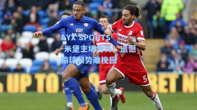 米堡主场告负，遗憾输球颓势难挽回