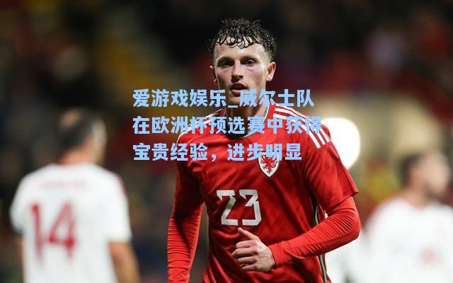 威尔士队在欧洲杯预选赛中获得宝贵经验，进步明显