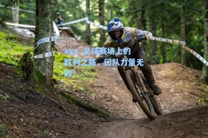 足球赛场上的胜利之路，团队力量无敌！