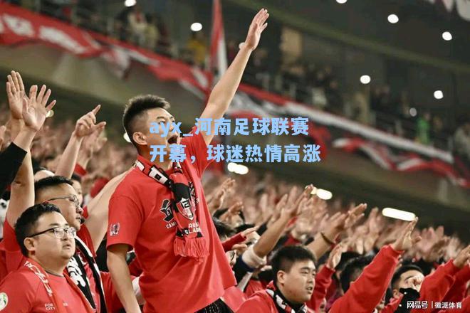 河南足球联赛开幕，球迷热情高涨