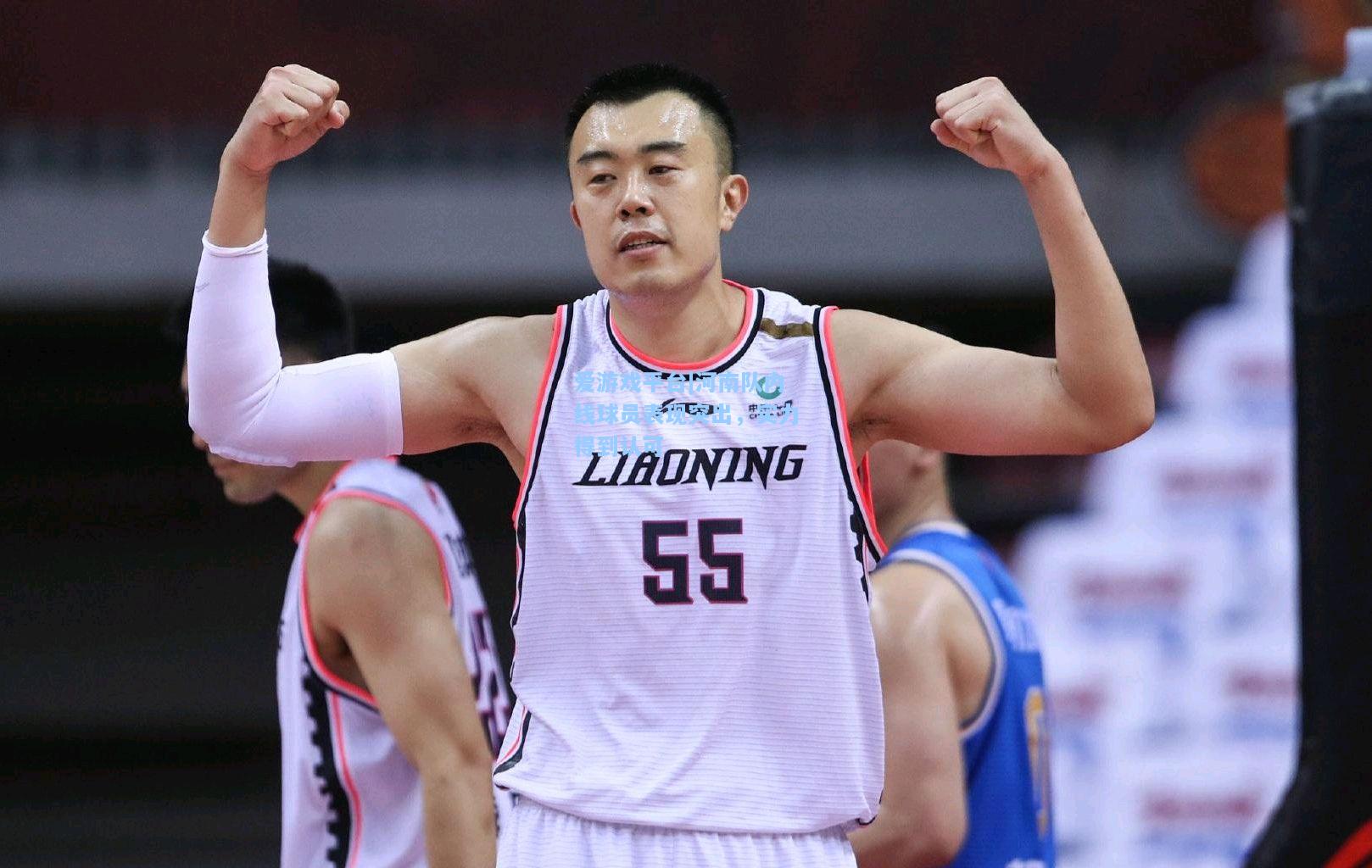 河南队内线球员表现突出，实力得到认可