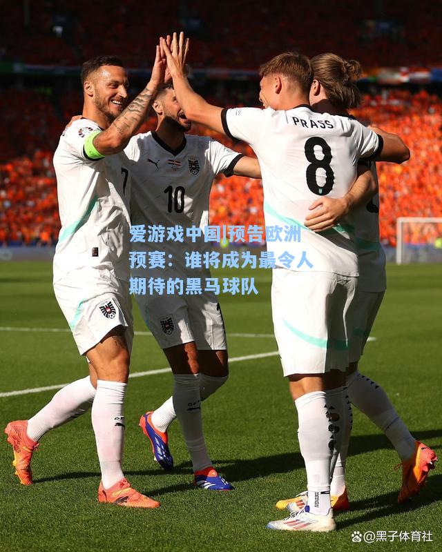 预告欧洲预赛：谁将成为最令人期待的黑马球队